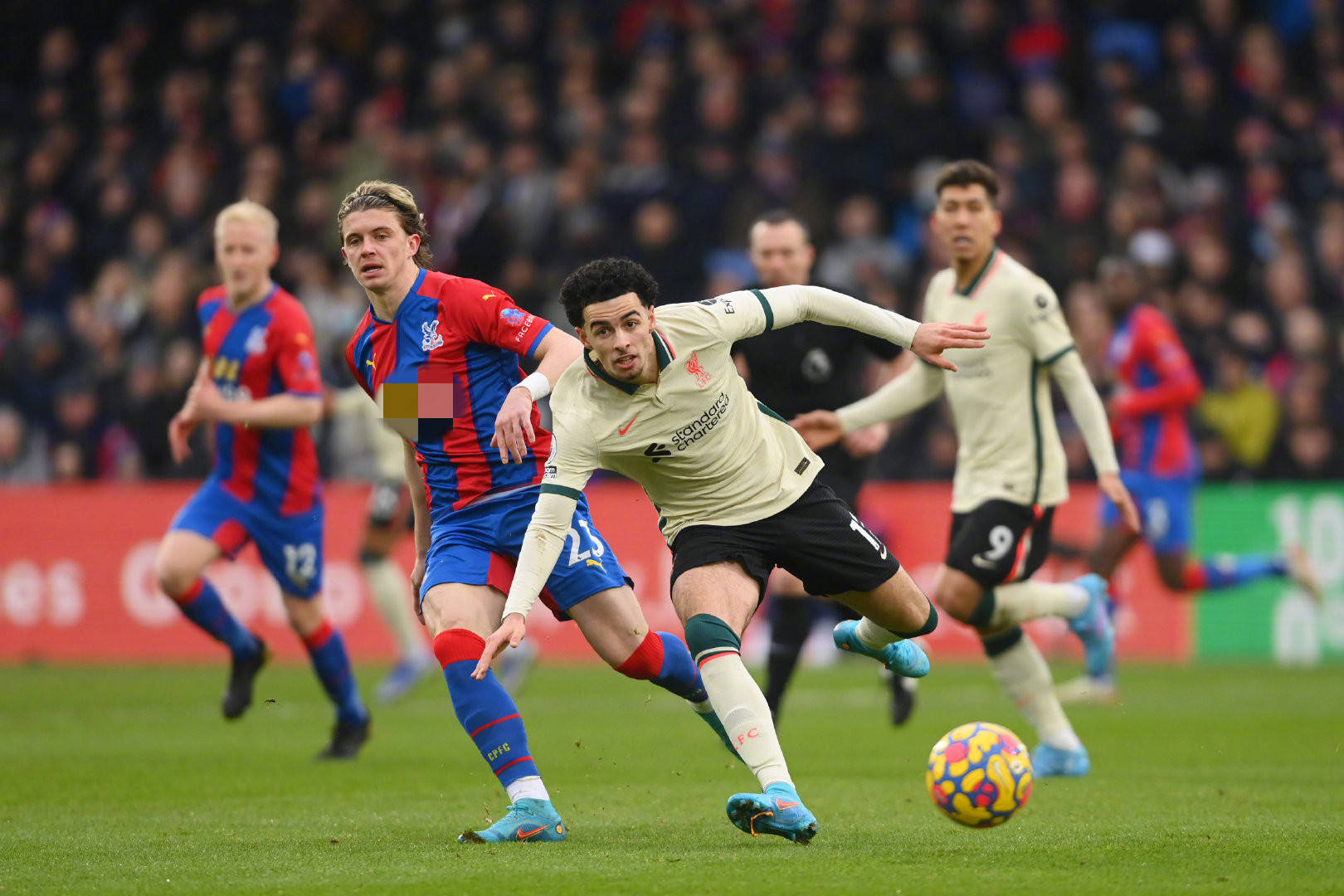 依旧不容小 依旧不容小